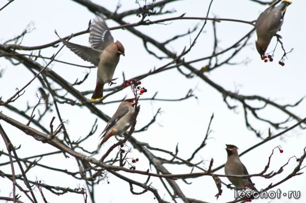 0_6ddc5_3b90e1f3_XXXL.jpg