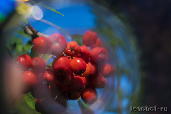 DSC_0181.jpg