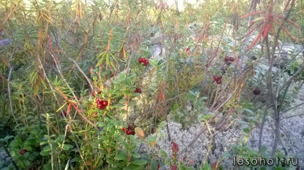 WP_20160903_010.jpg