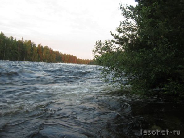 photo_00191.jpg