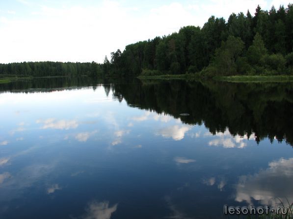 IMG_2084.jpg