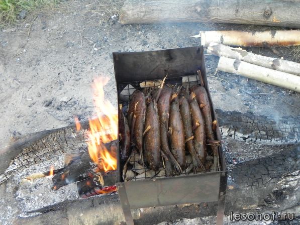 DSCN0600.JPG