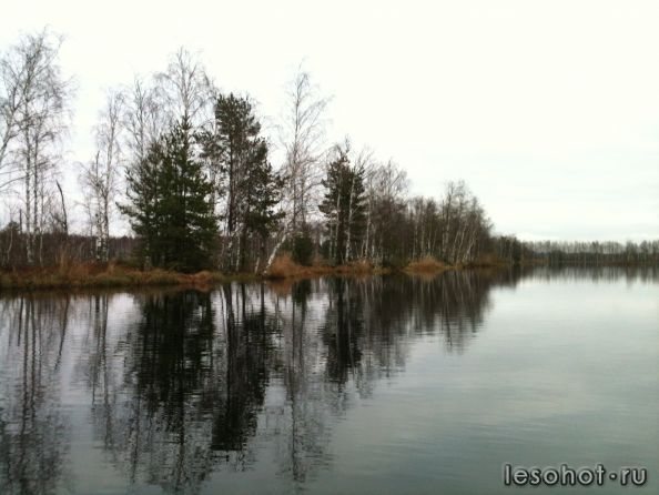 IMG_0671.jpg