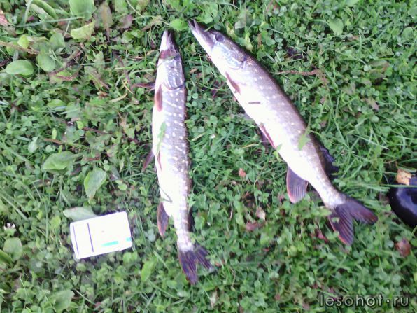 IMG_20160920_172847.jpg