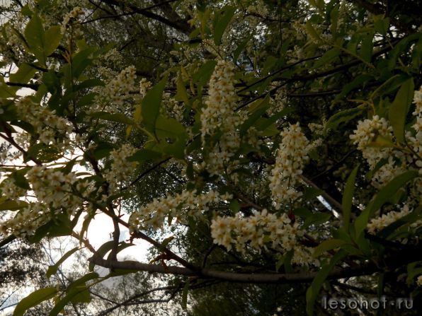 photo_00175.jpg