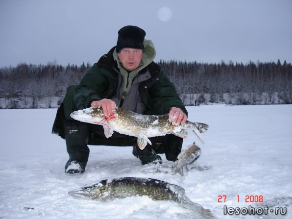 - 2008.