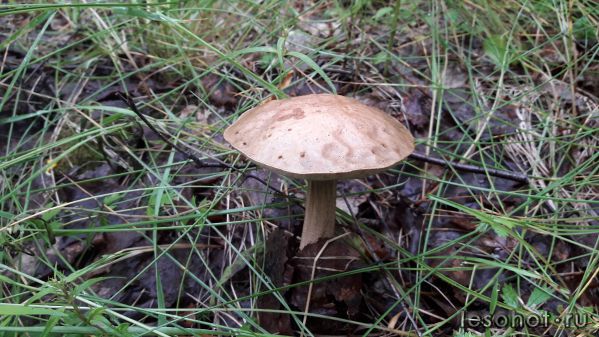 20180713_055314.jpg