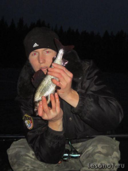 photo_00102.jpg