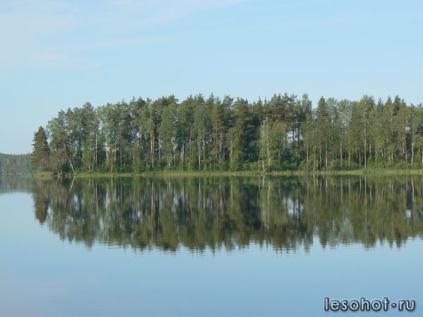 P1030223.JPG