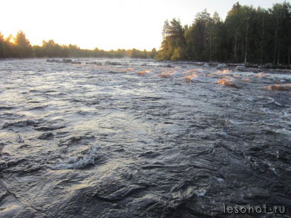 photo_00136.jpg