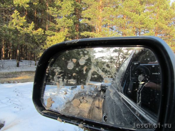 IMG_4293.JPG