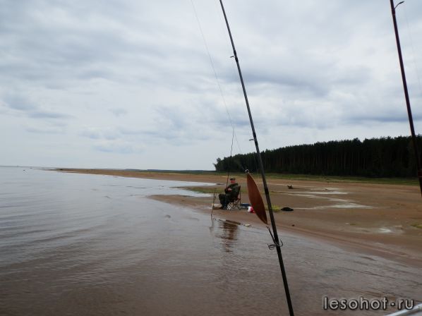 P8140282.JPG