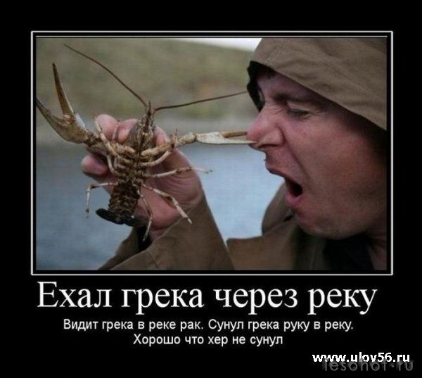 1270813113_demotivator104.jpg