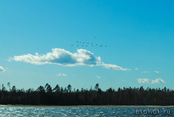 DSC_8398c.jpg