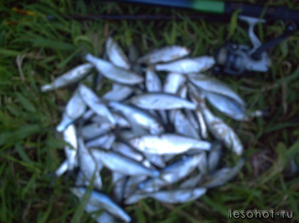 PICT0015.JPG