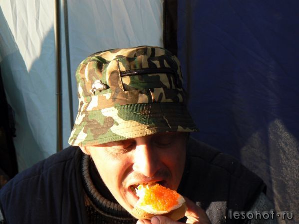 1-223.jpg