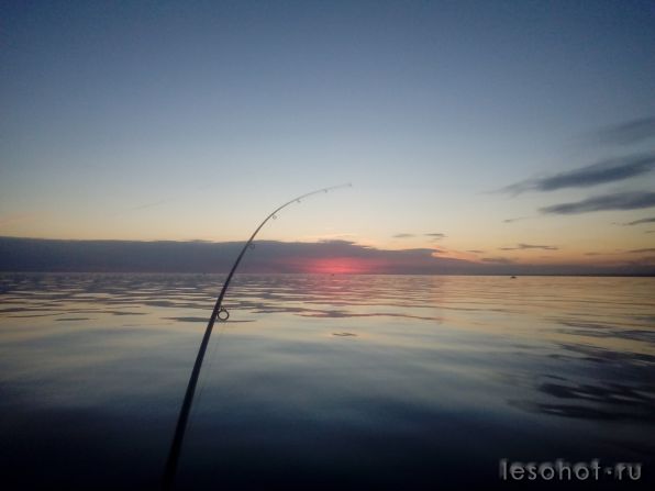 20180615_221150.jpg