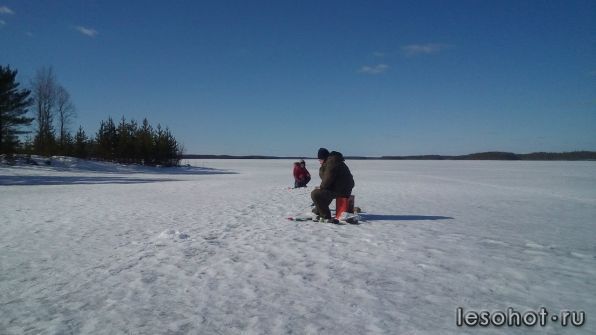 photo_00100.jpg