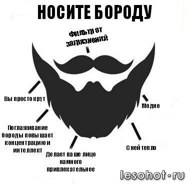 rXVslWt76qU.jpg