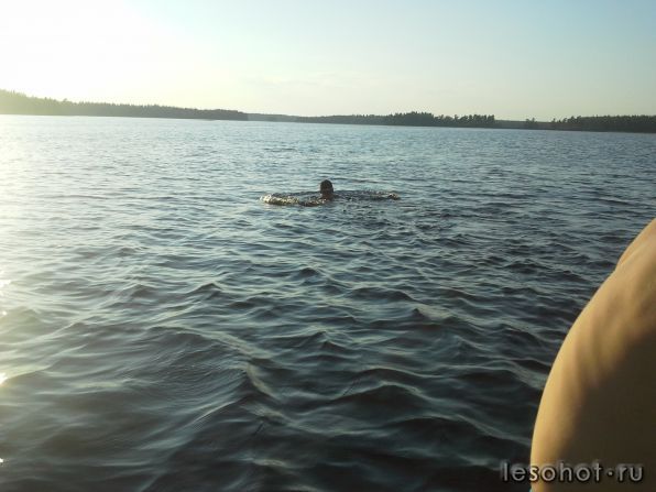 20140807_201856.jpg