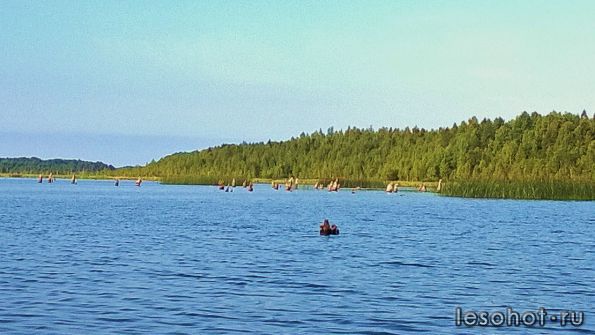 WP_20140731_023.jpg