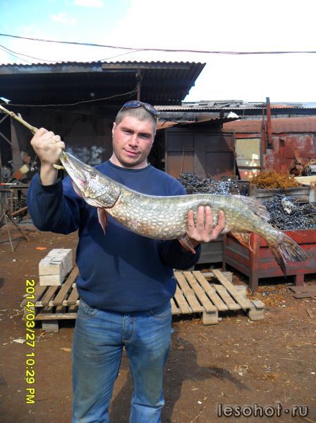 SAM_0667.JPG