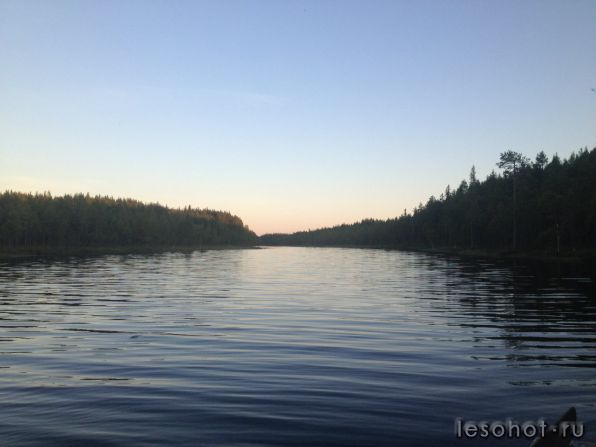 photo_00077.jpg