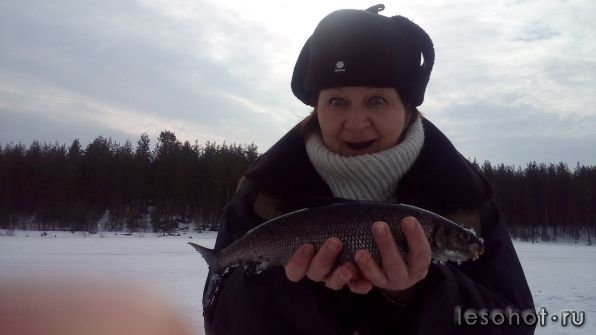 photo_00094.jpg