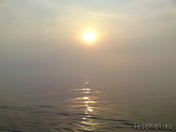 DSC00311.JPG