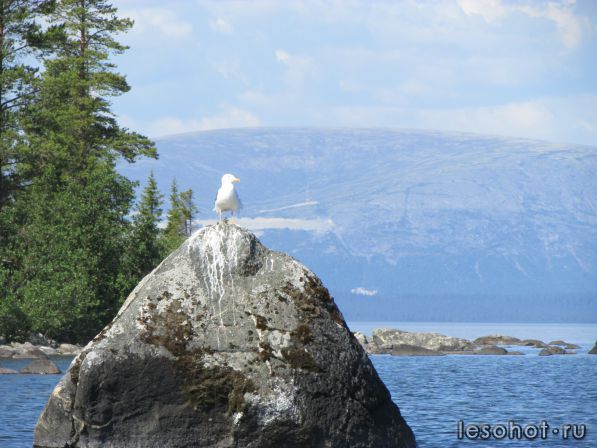 IMG_0616.JPG