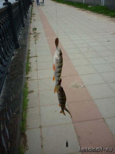 P1010719.JPG