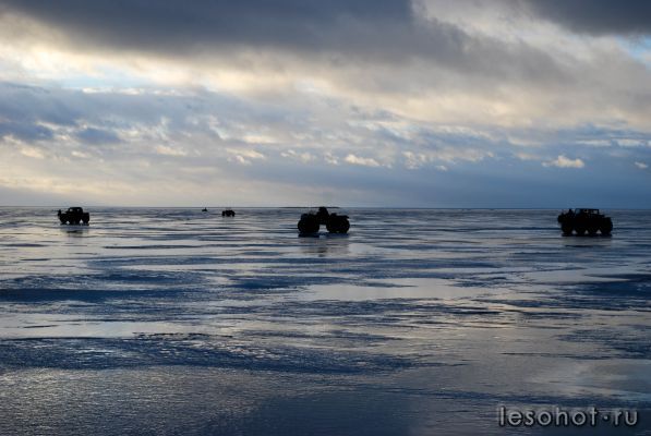 DSC_5524.jpg