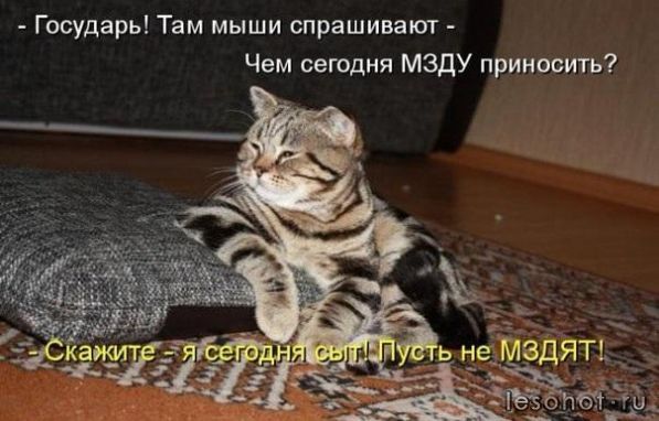 20120704212956.jpg