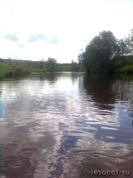 ���� ��� ��������