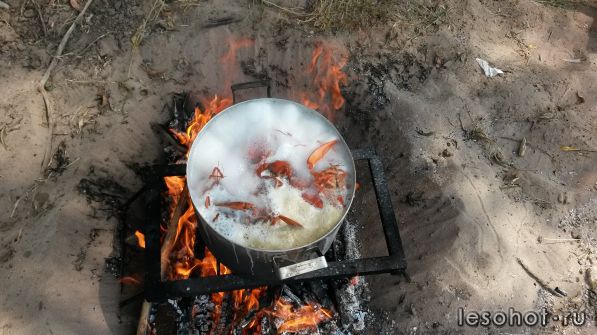 20140820_121600.jpg