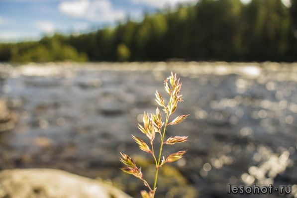 DSC_0111.jpg