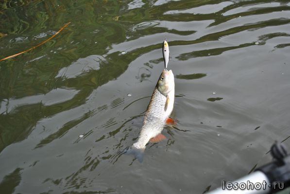 DSC_0663.JPG