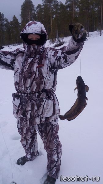 photo_00140.jpg