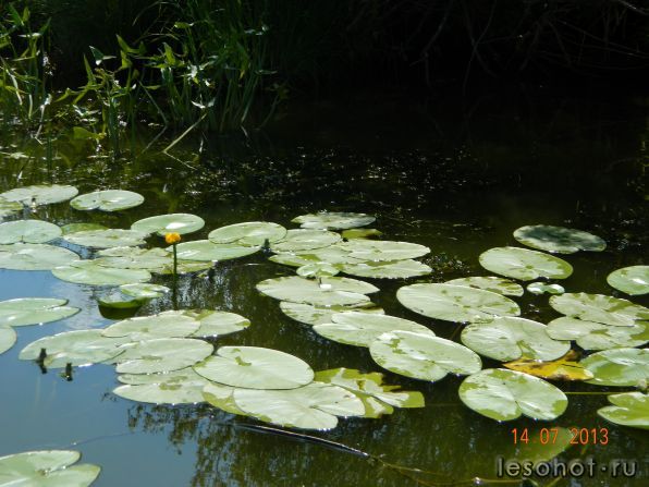 DSCN1639.JPG