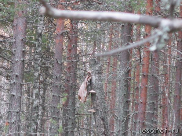 photo_00094.jpg