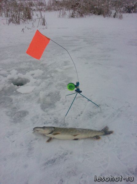 P1456_12-12-10.jpg
