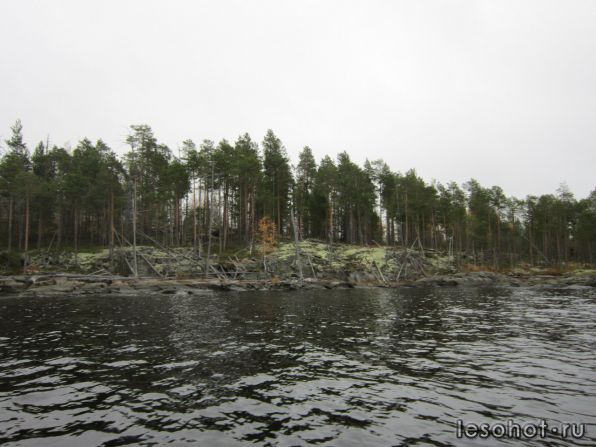 photo_00090.jpg