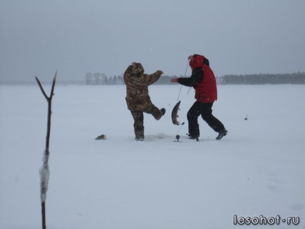 IMG_2768.jpg