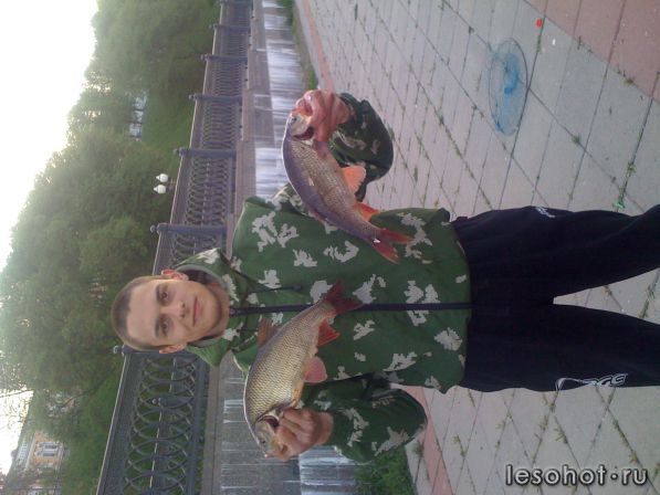 IMG_0123.JPG