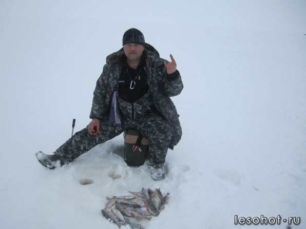 IMG_7510.jpg