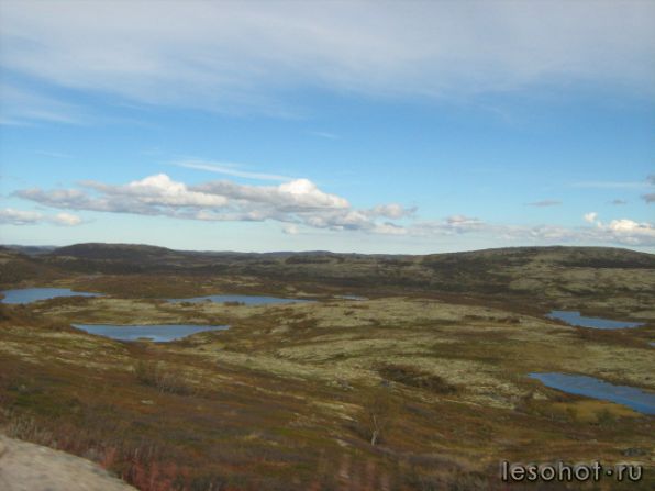 IMG_3395.JPG