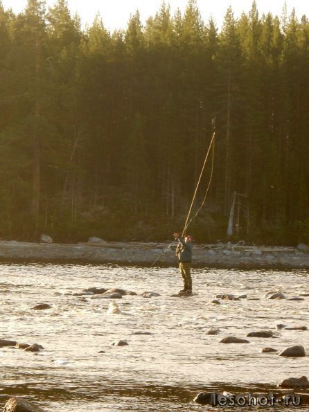photo_00011.jpg