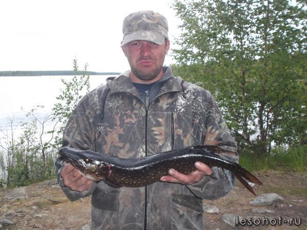DSCF8590.JPG