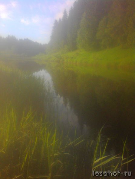 IMG_20140601_074243.jpg