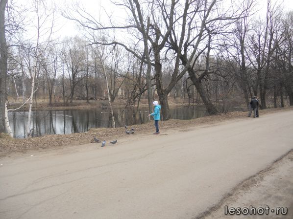 DSCN1153.JPG